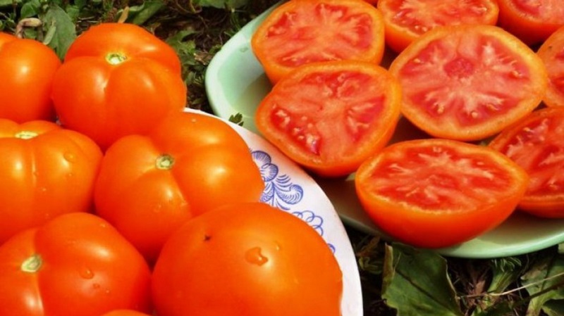 The variety that will become your favorite is the Grapefruit tomato: large, unpretentious in care and amazingly tasty