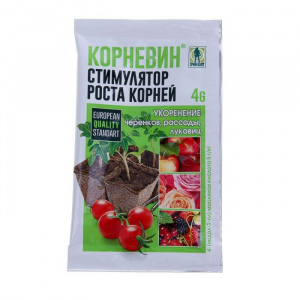A variety that is equally good for a greenhouse and for open ground - Nastenka tomato and the method of its cultivation