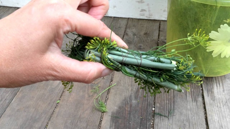 Ways to use dill stalks for maximum benefit