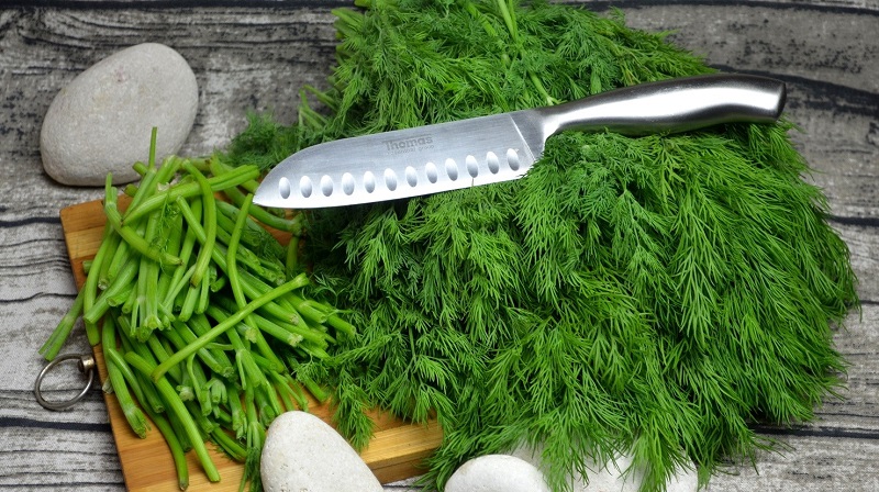 Ways to use dill stalks for maximum benefit