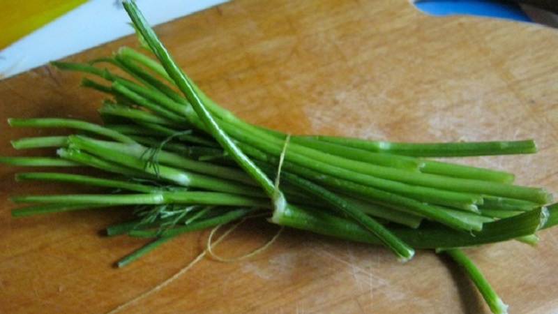 Ways to use dill stalks for maximum benefit