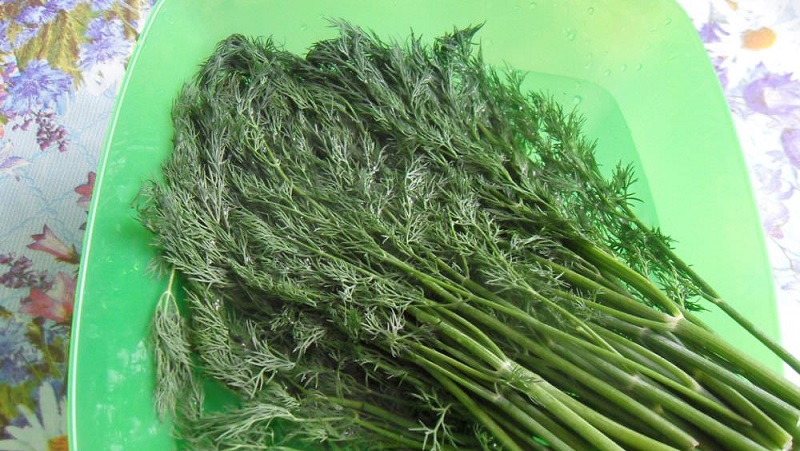 Ways to use dill stalks for maximum benefit