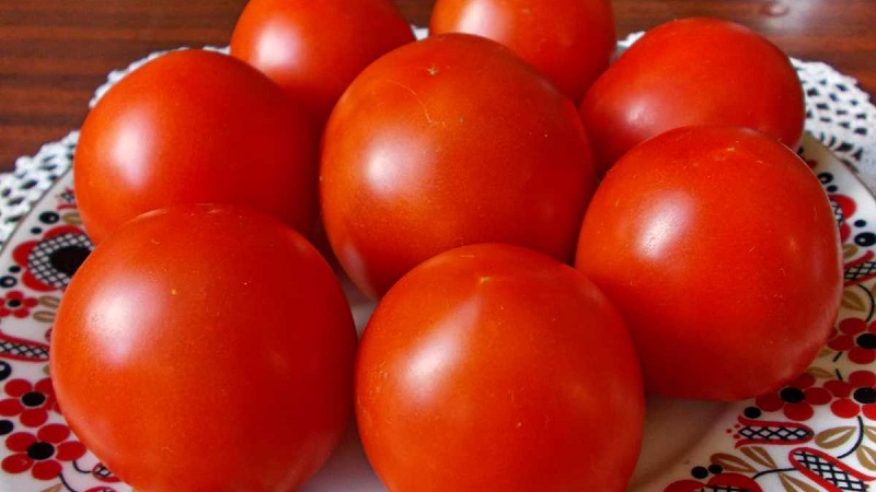 Super early variety with impressive yield - Zhenechka tomato: reviews, photos, growing secrets