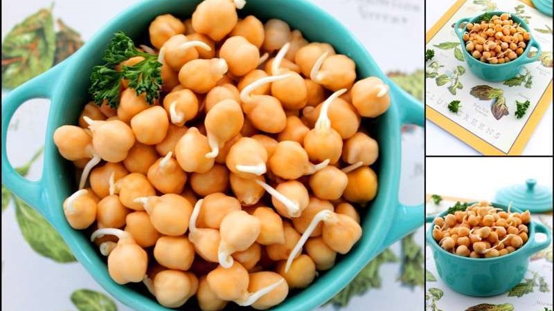 Hearty and tasty storehouse of vitamins: chickpeas, the secrets of its use in cooking, cosmetology and folk medicine
