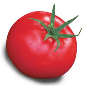 Tomato Aphrodite f1 loved by gardeners in all regions of the country: reviews, advantages and disadvantages of the variety
