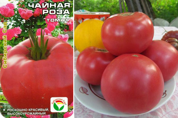 Unpretentious in care, but at the same time generous for the harvest tomato Tea Rose: agricultural techniques and advice from experienced farmers