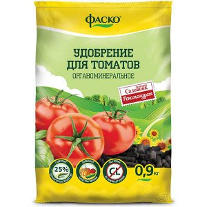 Fleshy, tasty and very aromatic Danko tomato: we get a rich stable harvest