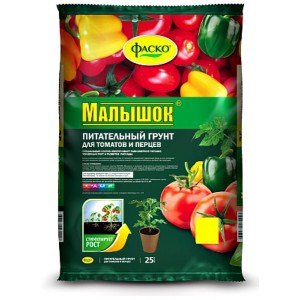 Interesting appearance and pleasant taste for connoisseurs of unusual varieties - Black Pear tomato