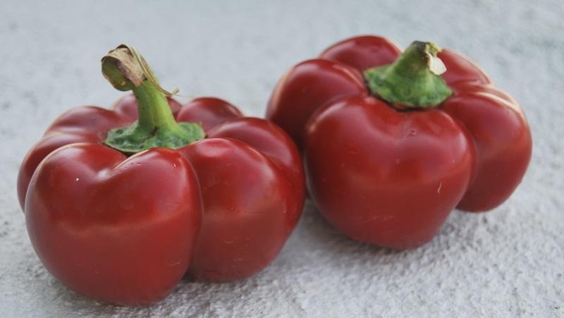 Top 10 best thick-walled sweet peppers for outdoor use