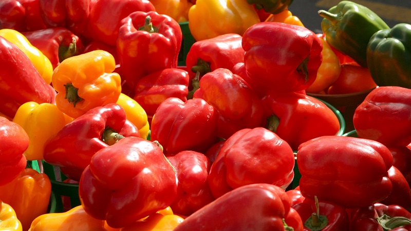 Top 10 best thick-walled sweet peppers for outdoor use