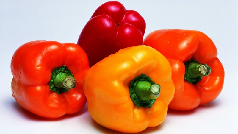 Top 10 best thick-walled sweet peppers for outdoor use