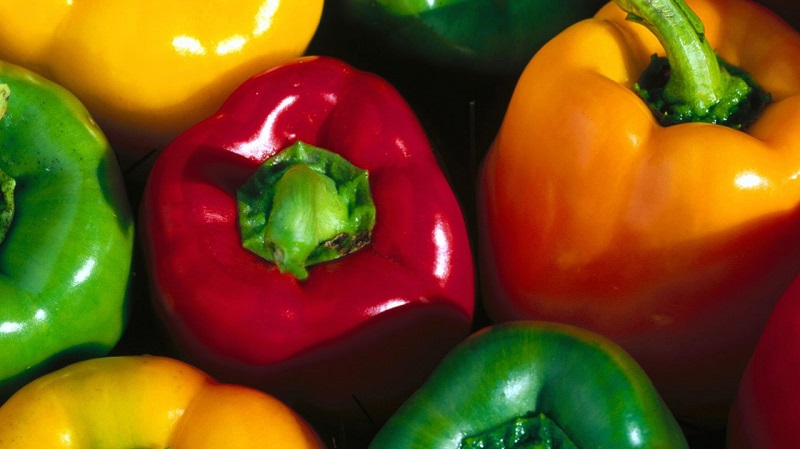 Top 10 best thick-walled sweet peppers for outdoor use