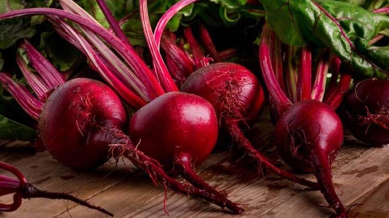 The healing properties of red beets and contraindications to its use