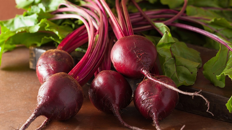 The healing properties of red beets and contraindications to its use