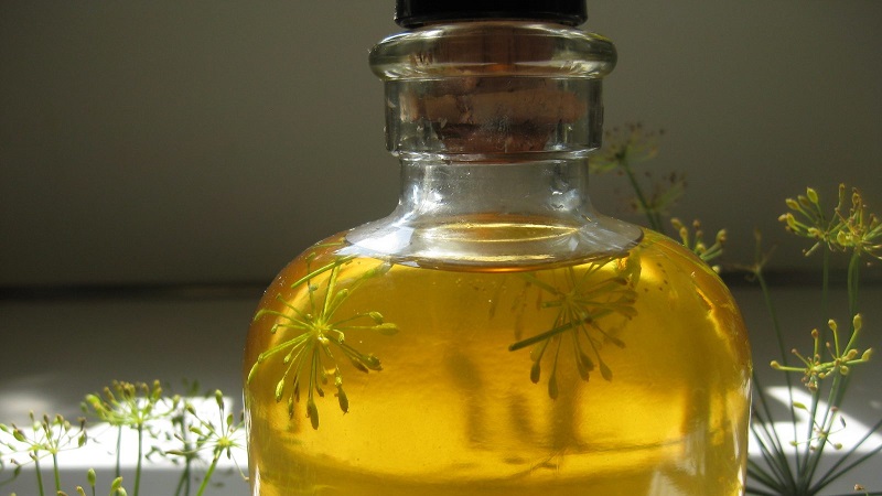 We will learn how to make dill oil at home: instructions for the preparation and rules for using dill oil