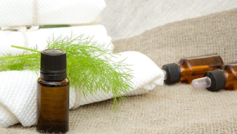 We will learn how to make dill oil at home: instructions for the preparation and rules for using dill oil