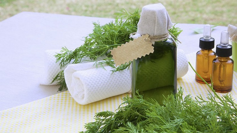 We will learn how to make dill oil at home: instructions for the preparation and rules for using dill oil