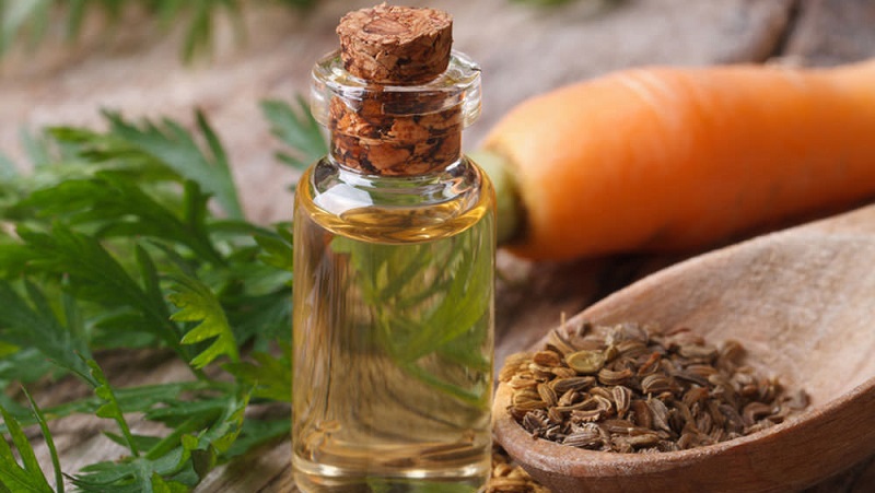 We will learn how to make dill oil at home: instructions for the preparation and rules for using dill oil