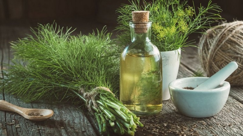We will learn how to make dill oil at home: instructions for the preparation and rules for using dill oil