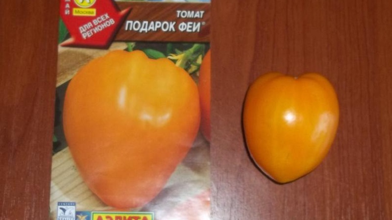 Delicious and stable variety with a high content of beta-carotene - tomato Fairy Gift: reviews and photos of the harvest