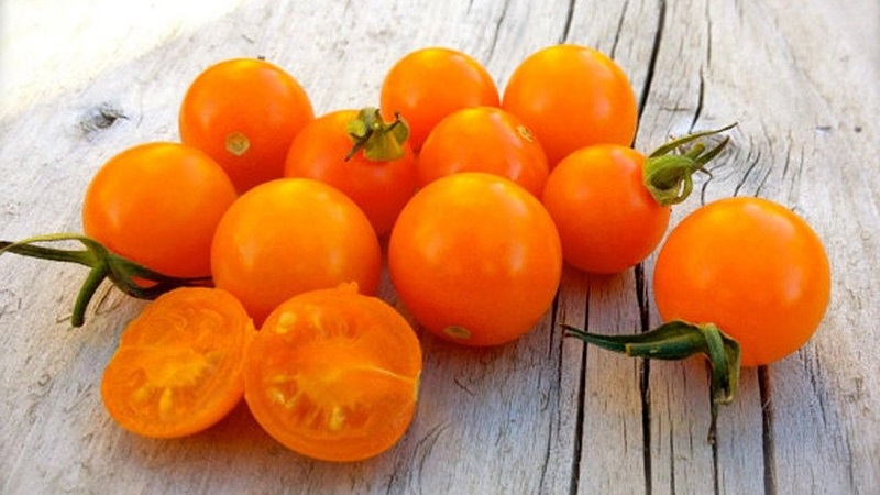 We grow candy tomatoes on our site: Sweet cherry tomato