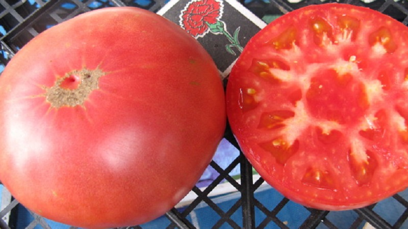 We grow a tomato Tsar's gift in stages, starting with seedlings and ending with the collection of a bountiful harvest