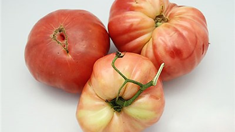 We grow a tomato Tsar's gift in stages, starting with seedlings and ending with the collection of a bountiful harvest