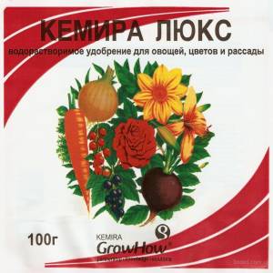 Popular among farmers pumpkin Winter sweet with pleasant taste and high yield for long-term storage