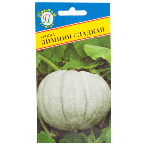 Popular among farmers pumpkin Winter sweet with pleasant taste and high yield for long-term storage