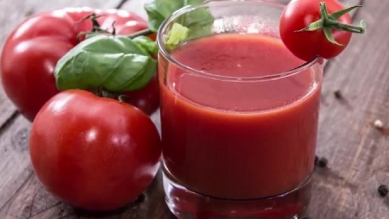 Tomato Demidov, famous for its endurance and loved by gardeners