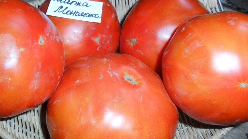 Tomato variety that will definitely not disappoint you - Tomato Monomakh's Hat
