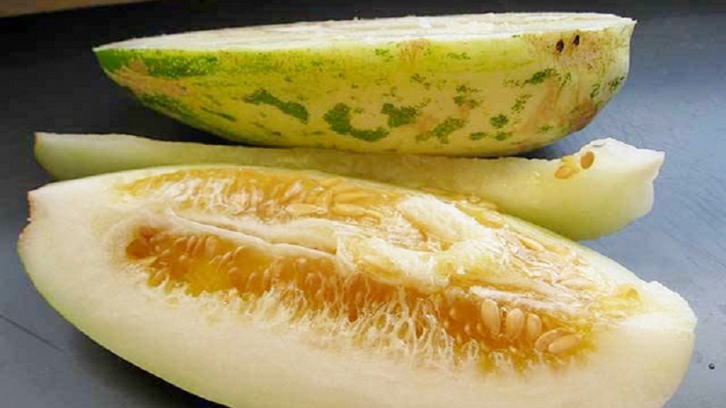 What is cucumber, how is it grown and eaten