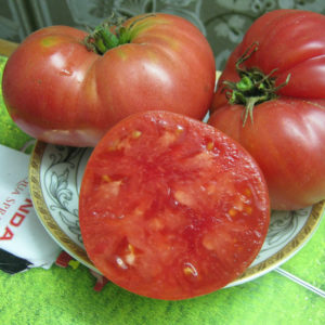 We grow a giant tomato on our site: planting secrets and care tips