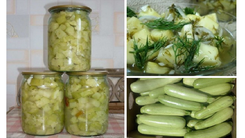 How to cook canned zucchini for the winter: the most delicious and unusual recipes for seaming