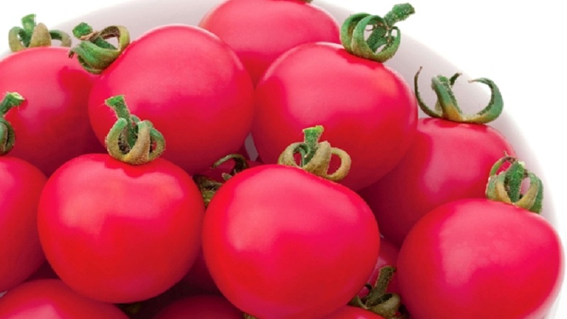 What you'll love about Pink Paradise Hybrid Tomato