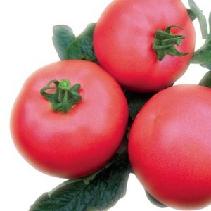An early ripe hybrid from French breeders - the Alesi tomato: an overview of the advantages, disadvantages and features