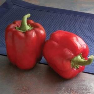 Juicy and productive Red bull pepper for growing unusually tasty fruits on your site