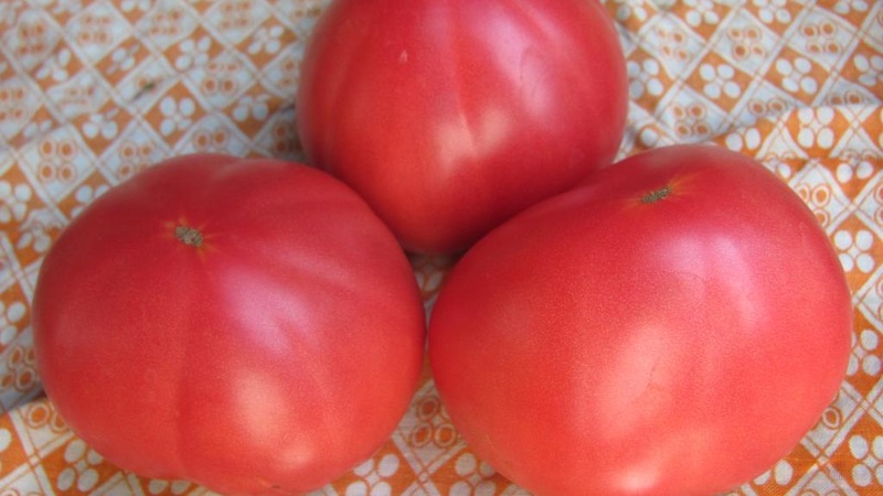 Large fruits with excellent taste - Babushkin's secret tomato