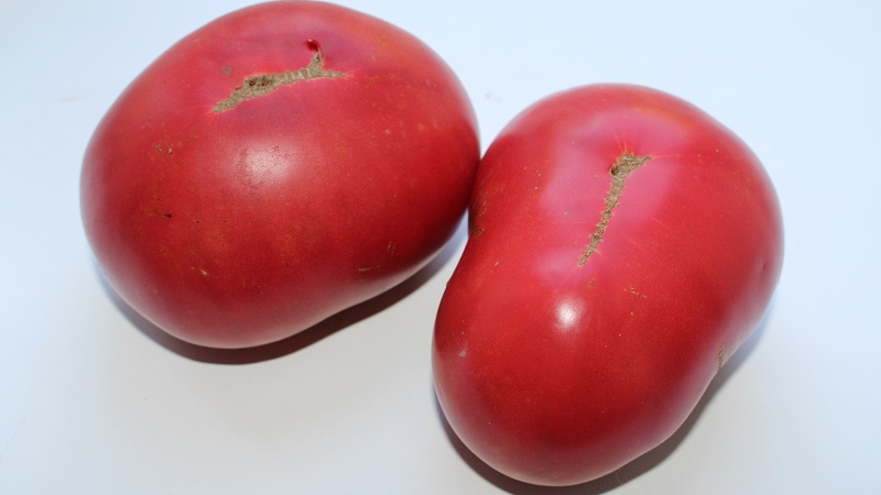 Large fruits with excellent taste - Babushkin's secret tomato