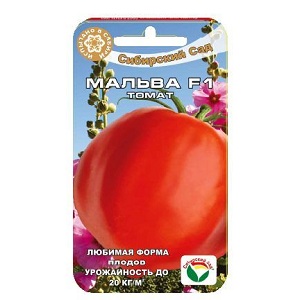 Lying variety for salads and preservation - hybrid tomato Malva f1