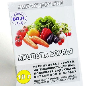 Basic rules for processing tomatoes with boric acid: prepare a solution and spray, avoiding mistakes
