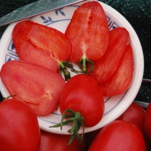 Tomato variety Strawberry tree - Siberian disease resistance and high yield