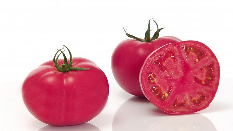 A hybrid produced by Japanese breeders - Pink Impression tomato and the nuances of its cultivation