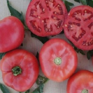 A hybrid produced by Japanese breeders - Pink Impression tomato and the nuances of its cultivation