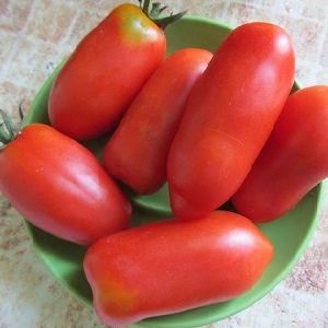 High and long-term productivity with proper care - Khokhloma tomato and the secrets of its cultivation