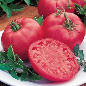 Why is tomato Biff pink brandy f1 so good and why summer residents love it so much: a review of the variety and the secrets of its cultivation