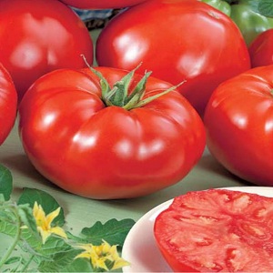 Dutch tomato Big Beef F1: what gardeners think of the Dutch hybrid and tips for growing