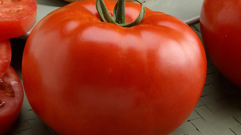 Dutch tomato Big Beef F1: what gardeners think of the Dutch hybrid and tips for growing