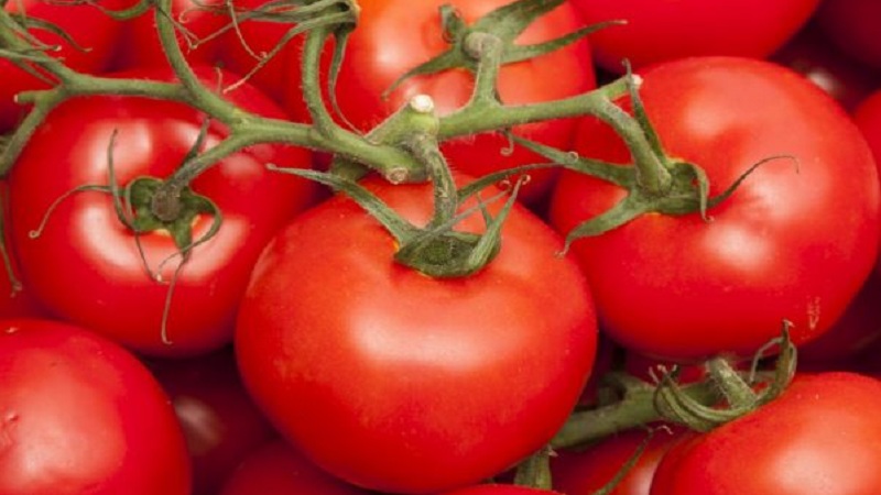 Will amaze you with its yield and taste - tomato Belle f1 and the secrets of agricultural technology from experienced gardeners