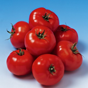 Will amaze you with its yield and taste - tomato Belle f1 and the secrets of agricultural technology from experienced gardeners